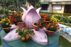 College Garden